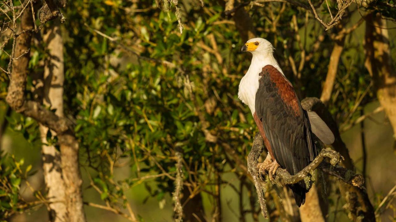 Hotel Kwalucia Private Safari Retreat Saint Lucia Estuary Esterno foto