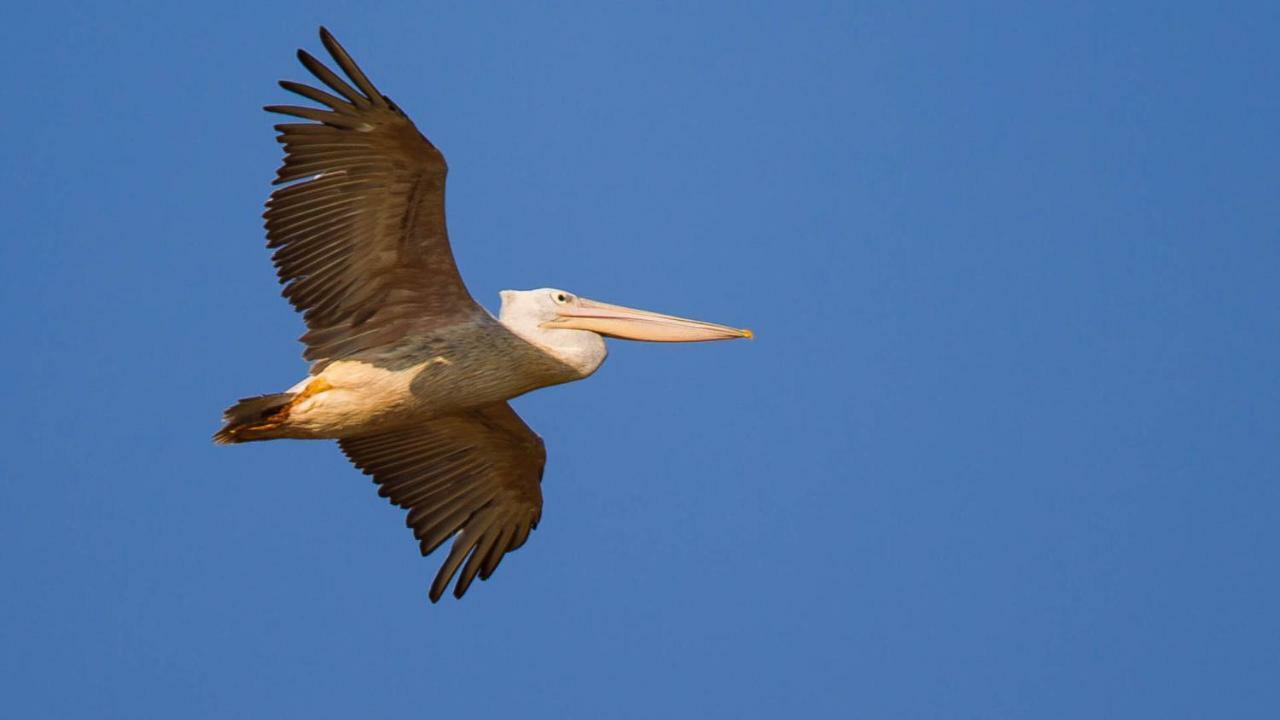 Hotel Kwalucia Private Safari Retreat Saint Lucia Estuary Esterno foto