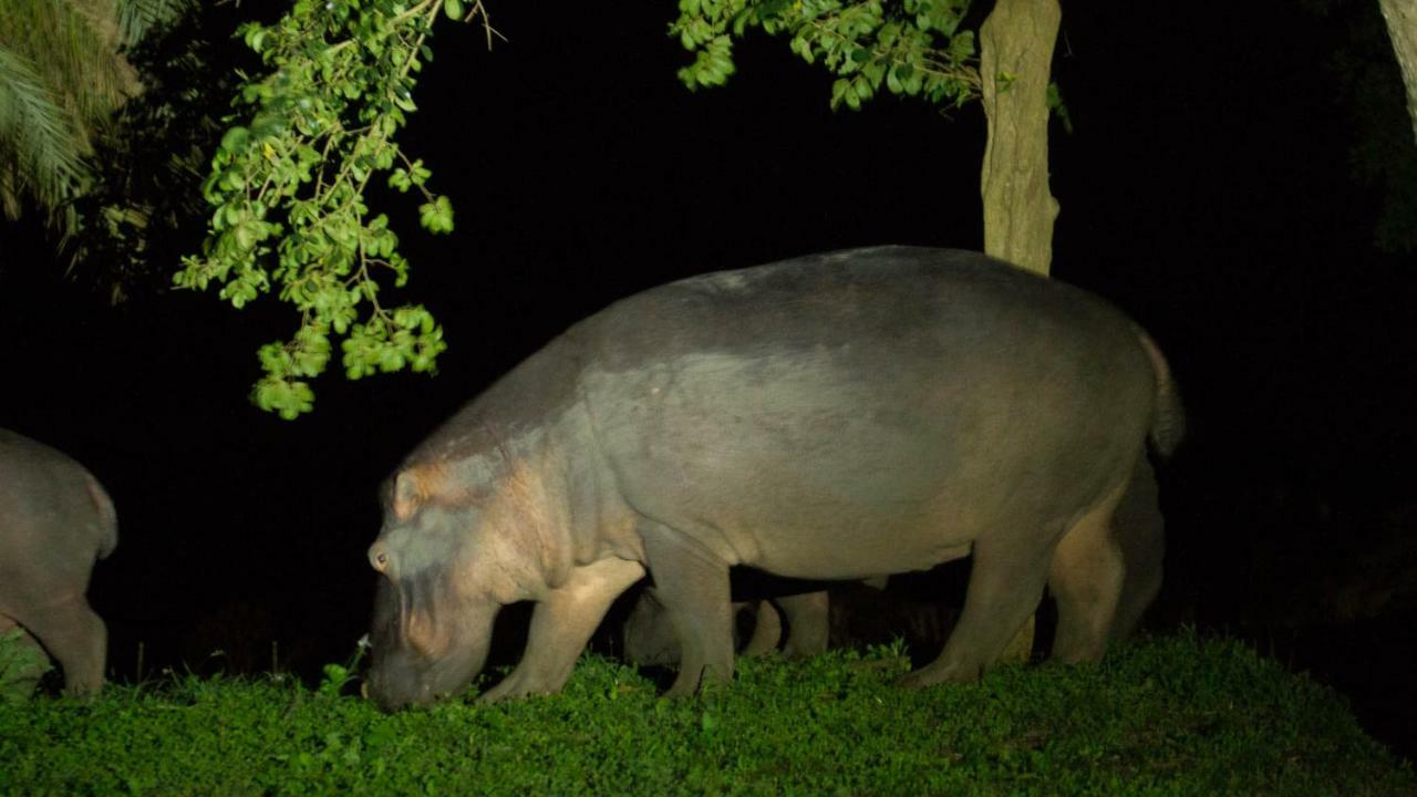 Hotel Kwalucia Private Safari Retreat Saint Lucia Estuary Esterno foto