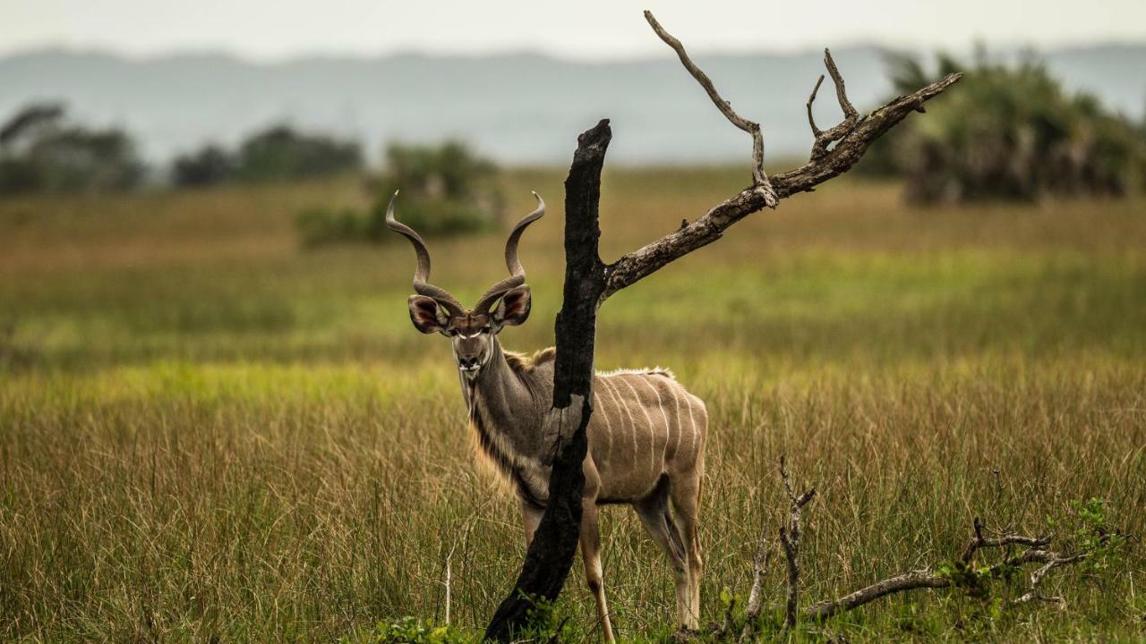 Hotel Kwalucia Private Safari Retreat Saint Lucia Estuary Esterno foto