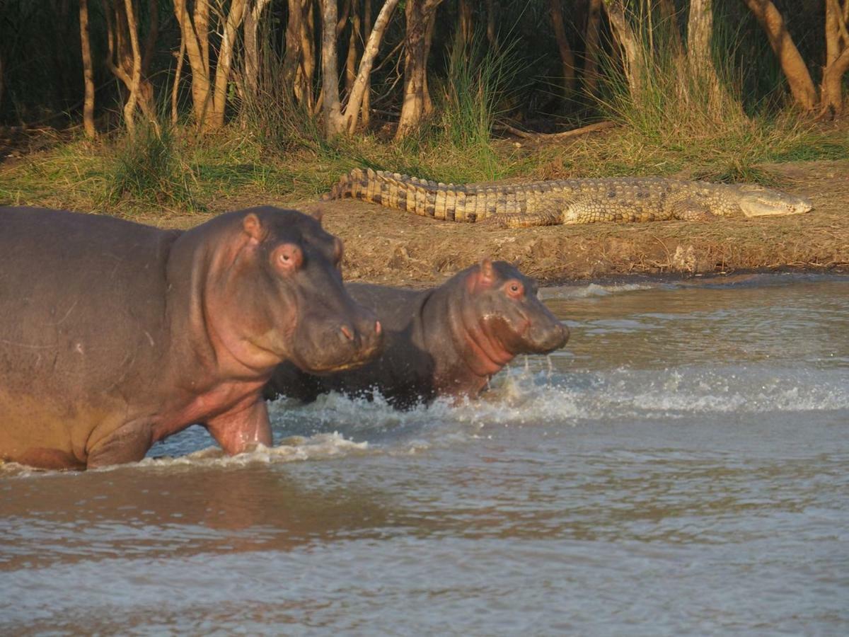 Hotel Kwalucia Private Safari Retreat Saint Lucia Estuary Esterno foto